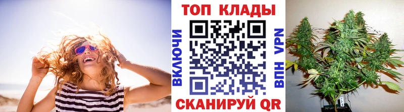 Как найти наркотики Пошехонье Кокаин СК Меф мяу мяу Гашиш Конопля