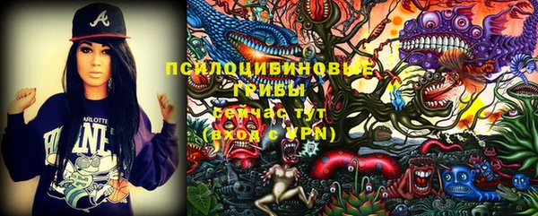 гидропоника Алзамай