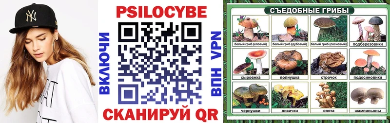 Псилоцибиновые грибы Psilocybe  Пошехонье 